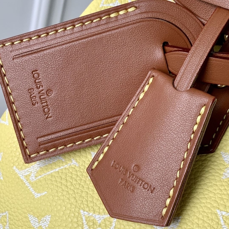 LV Speedy Bags